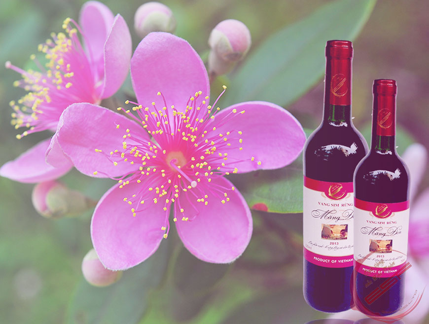 Rượu vang sim của Kon Tum – “Quà tặng của đại ngàn”