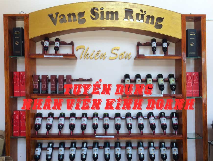 Tuyển dụng Nhân Viên Kinh Doanh