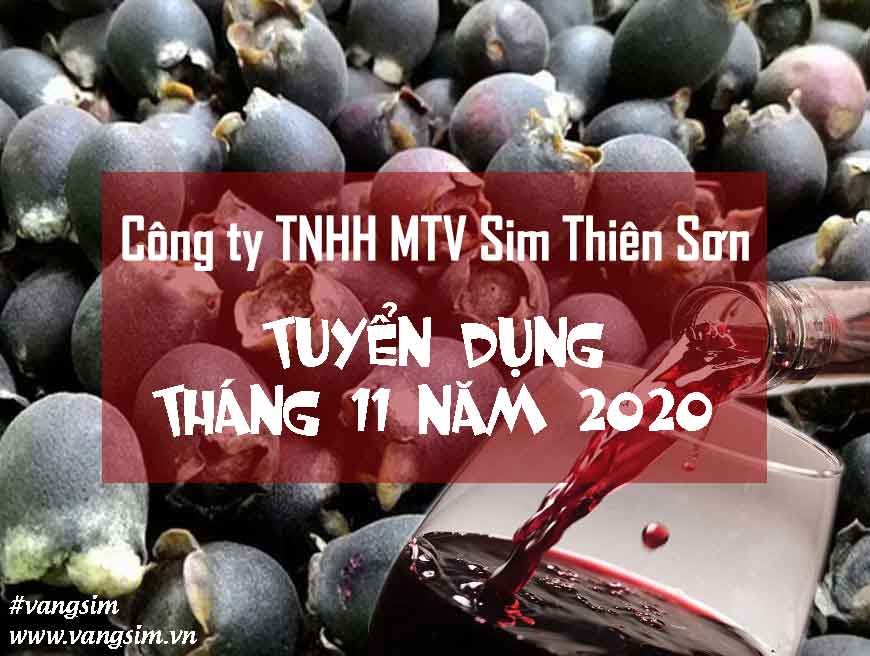 TUYỂN DỤNG NHÂN SỰ - NĂM 2021