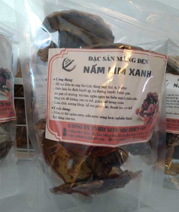 Nấm lim xanh - Đặc sản Măng Đen Nấm lim xanh - Đặc sản Măng Đen
