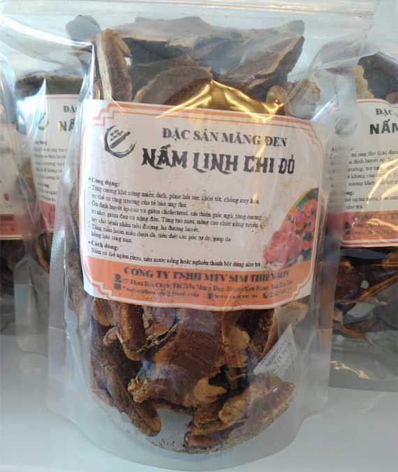 Nấm linh chi đỏ - Đặc sản Măng Đen Nấm linh chi đỏ - Đặc sản Măng Đen