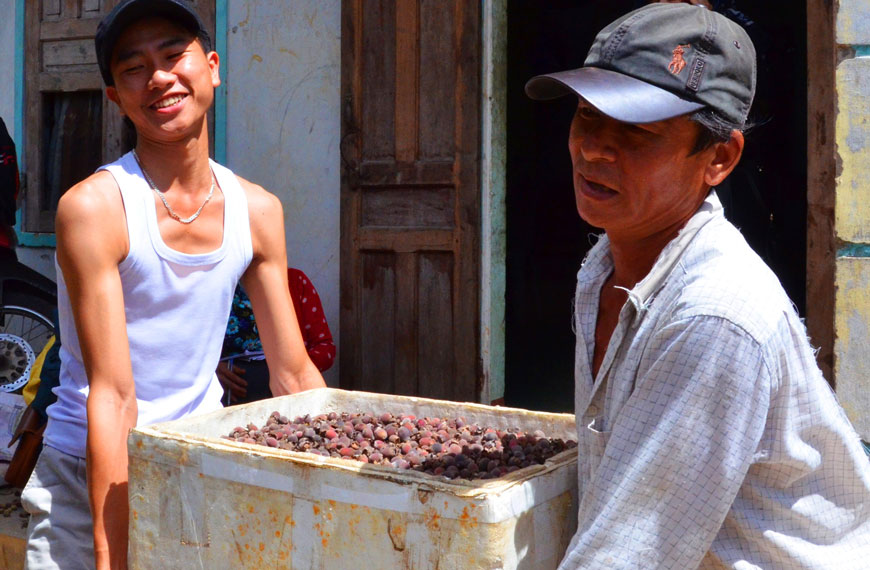 Chuyển sim lên xe về nhà máy Chuyển sim lên xe về nhà máy