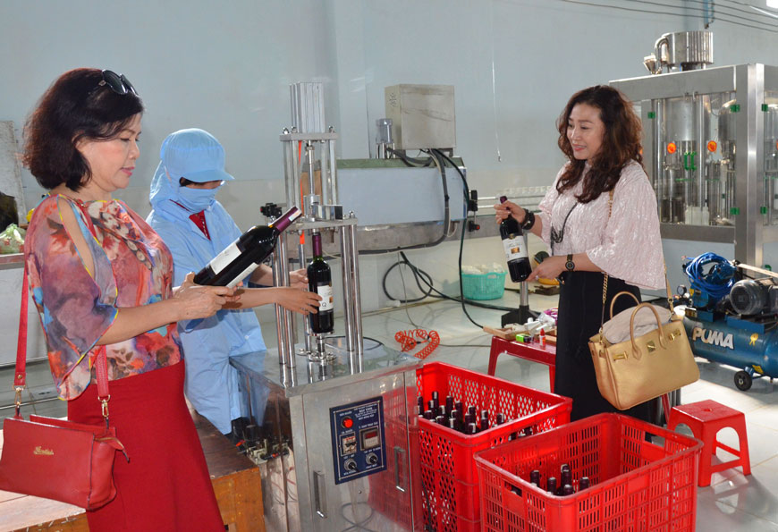 Sim rừng đã thành những chai Vang sim thơm ngon đẹp mắt Sim rừng đã thành những chai Vang sim thơm ngon đẹp mắt