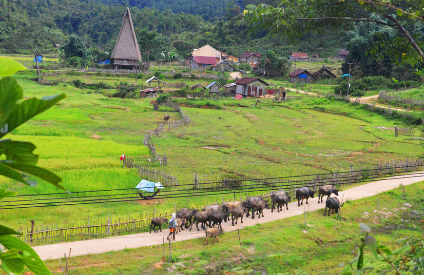 Vẻ đẹp thanh bình của làng Kon Bring